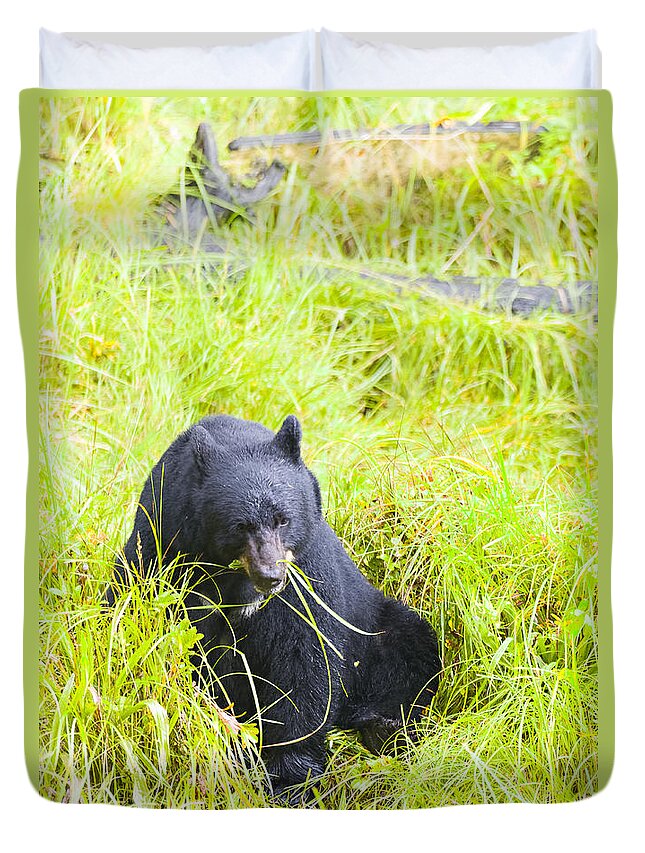 Wildlife. Black Bear Duvet Cover featuring the photograph Got the Munchies #2 by Harold Piskiel