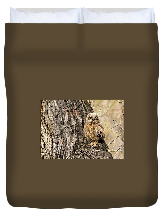 Bubo Virginianus Duvet Cover featuring the photograph Great Horned Owlet #2 by Dawn Key