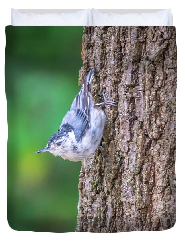 Nature Duvet Cover featuring the photograph Huthatch bird nut pecker in the wild on a tree #2 by Alex Grichenko