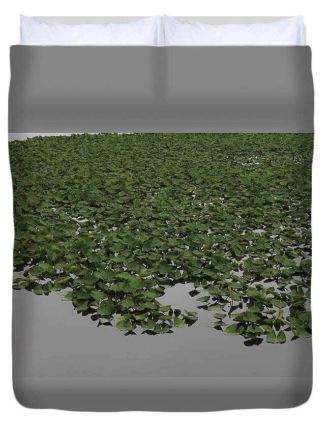 Bay Duvet Cover featuring the photograph Lake Plants #2 by Frank Romeo