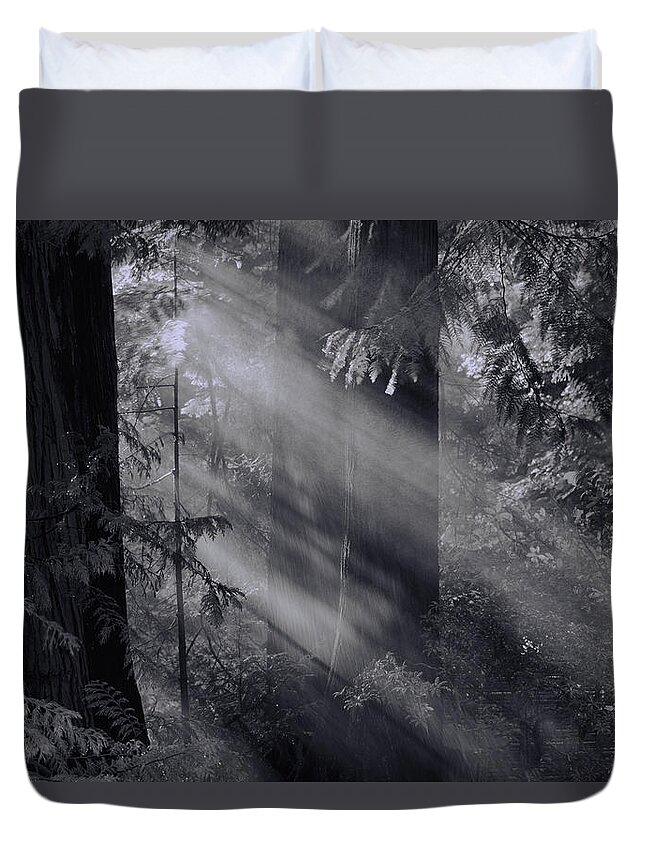  Duvet Cover featuring the photograph Let There Be Light #2 by Don Schwartz