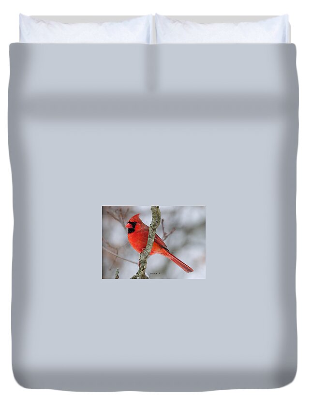 Male Cardinal Duvet Cover featuring the photograph Male Cardinal #2 by Diane Giurco