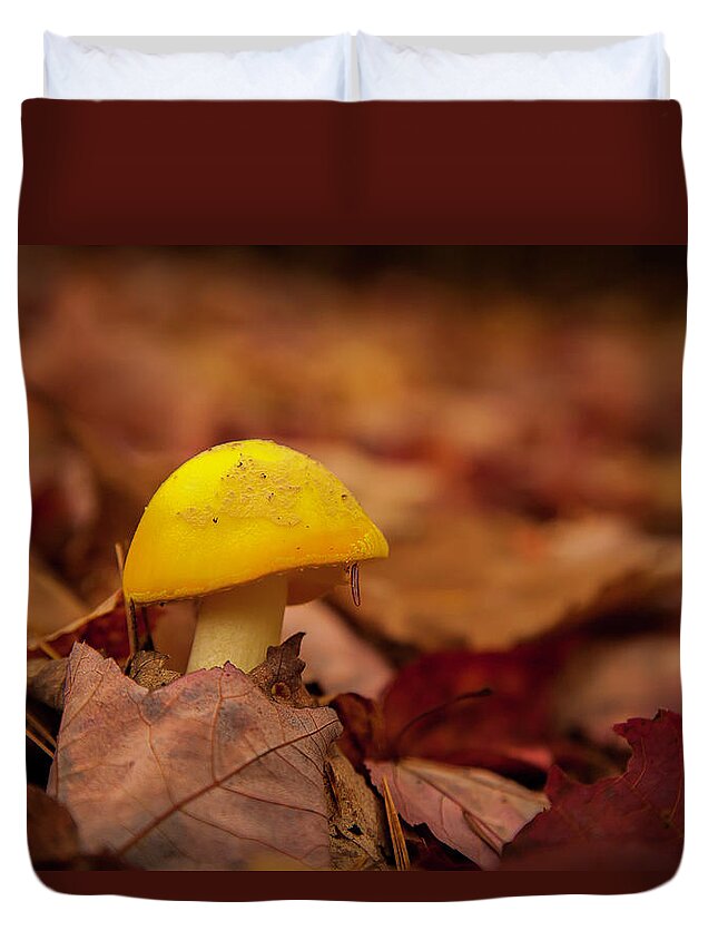 Fall Duvet Cover featuring the photograph Mushroom #2 by Benjamin Dahl