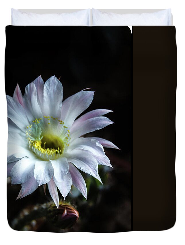 Arizona Duvet Cover featuring the photograph Night Bloomer #2 by Robert Bales