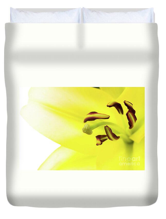 Abstract Duvet Cover featuring the photograph Oriental Lily Flower by Raul Rodriguez