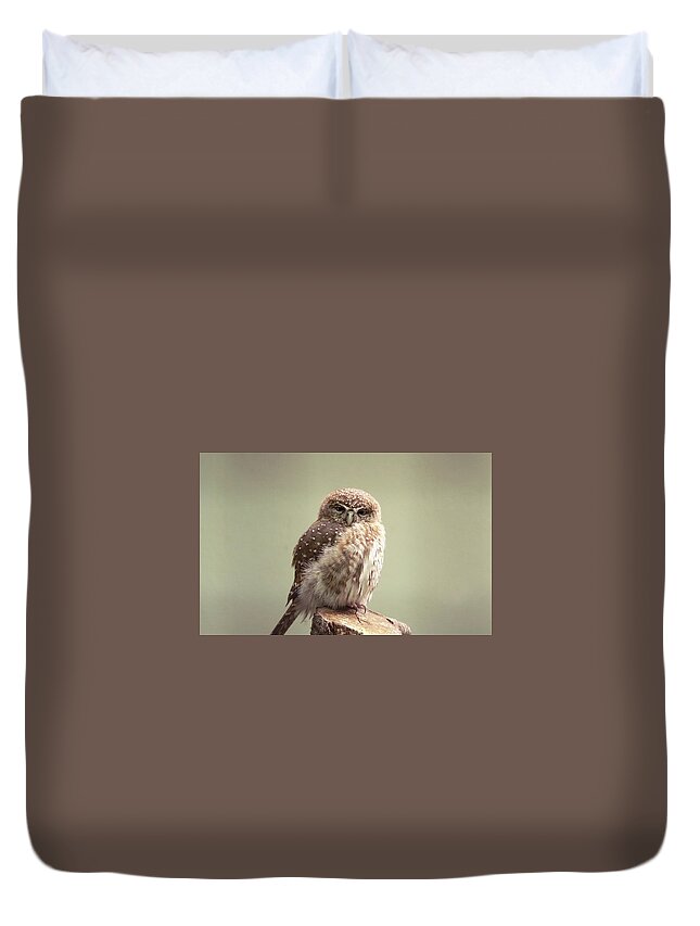 Owl Duvet Cover featuring the photograph Owl #2 by Mariel Mcmeeking
