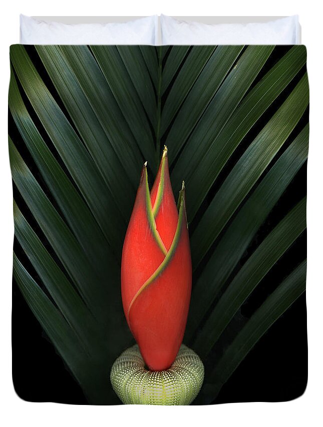 Scanart Duvet Cover featuring the photograph Palm of Fire by Christian Slanec