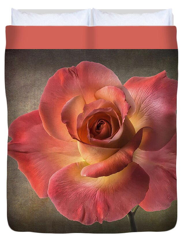  Rose Duvet Cover featuring the photograph Peach Rose #2 by Endre Balogh