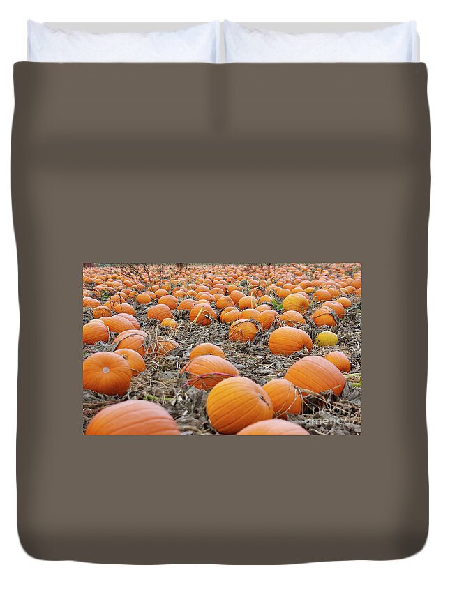 Farm Duvet Cover featuring the photograph Pumpkin Patch #2 by Bruce Block