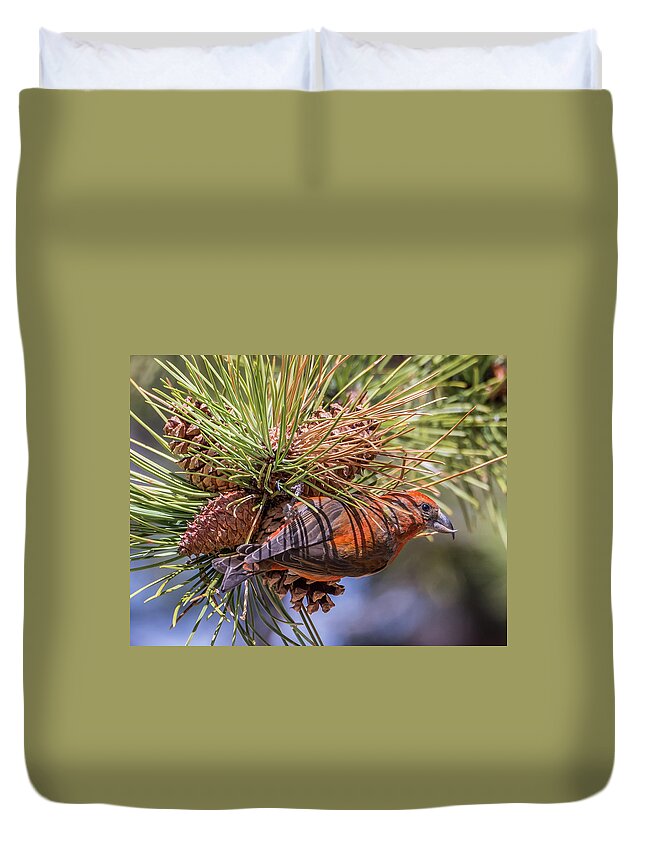 Nature Duvet Cover featuring the photograph Red Crossbill #2 by Michael Cunningham