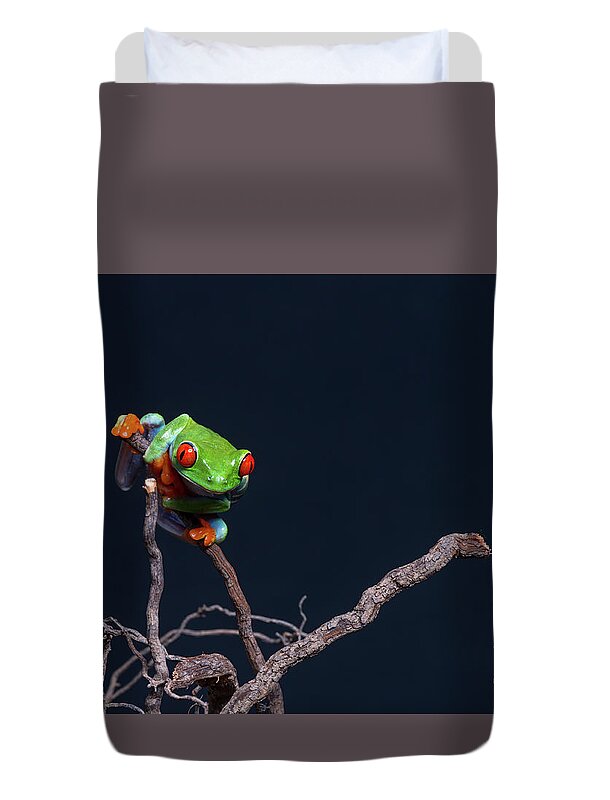 Frog Duvet Cover featuring the photograph Red eyed tree frog #2 by Les Palenik