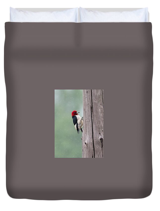 Red Headed Woodpecker Duvet Cover featuring the photograph Red Headed Woodpecker #2 by Holden The Moment