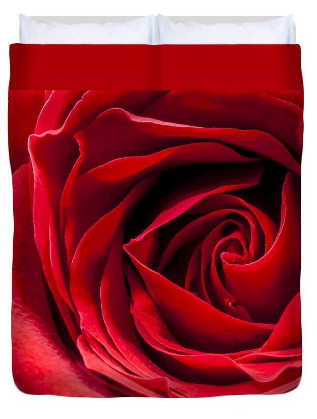 Flower Duvet Cover featuring the photograph Red Rose Close-up #2 by John Paul Cullen