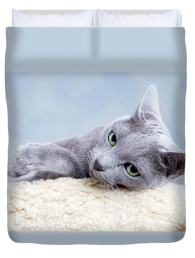 Russian Duvet Cover featuring the photograph Russian Blue Cat by Nailia Schwarz