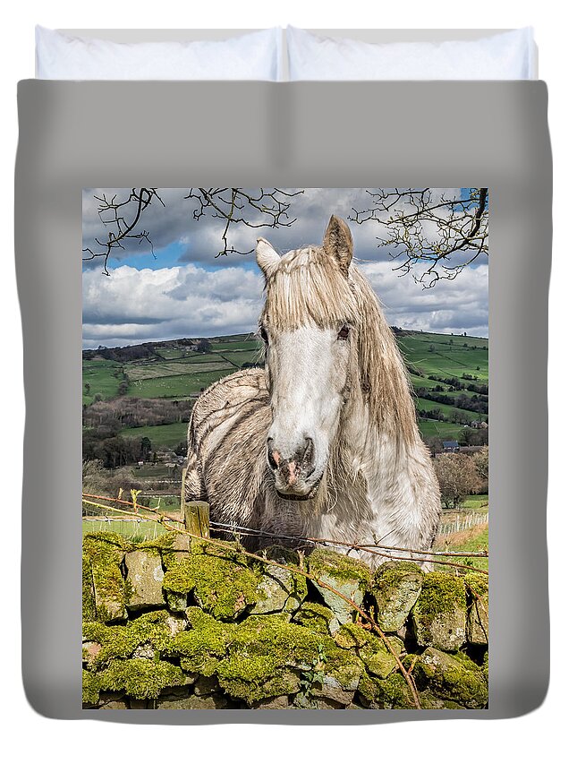 Birds & Animals Duvet Cover featuring the photograph Rustic Horse #2 by Nick Bywater