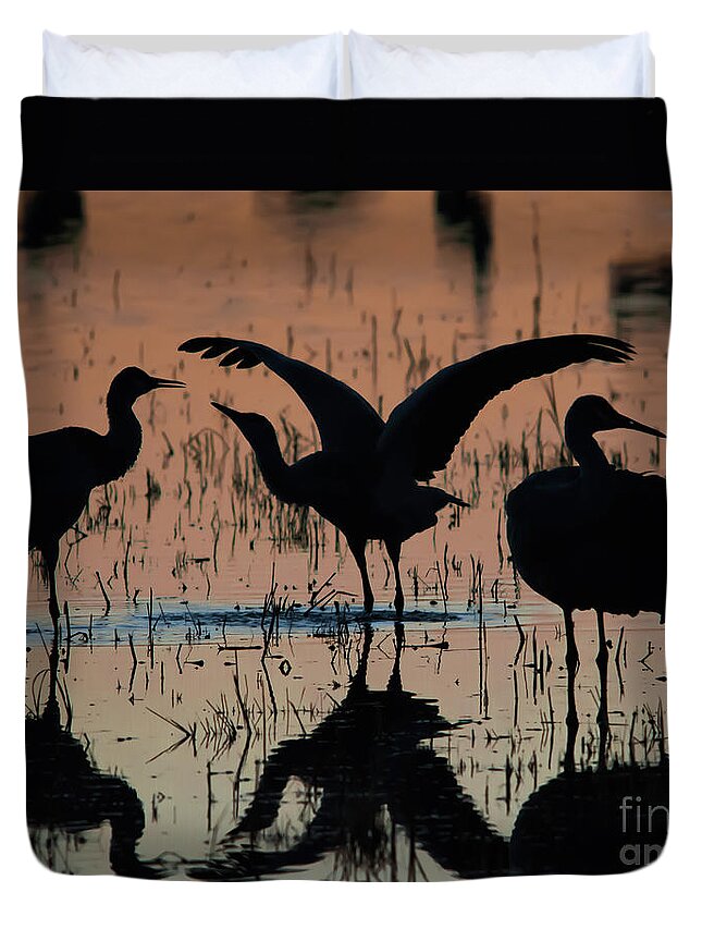 Cranes Duvet Cover featuring the photograph Sandhill Cranes at Sunset #2 by John Greco