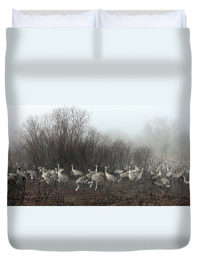 Cranes Duvet Cover featuring the photograph Sandhill Cranes and the Fog by Farol Tomson