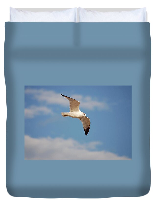 Seagulls Duvet Cover featuring the photograph 2- Seagull by Joseph Keane
