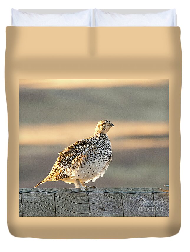 Bird Duvet Cover featuring the photograph Sharp Tailed Grouse #2 by Dennis Hammer