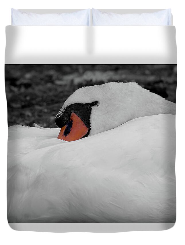 Swan Duvet Cover featuring the photograph Sleeping Beauty #2 by Scott Carruthers