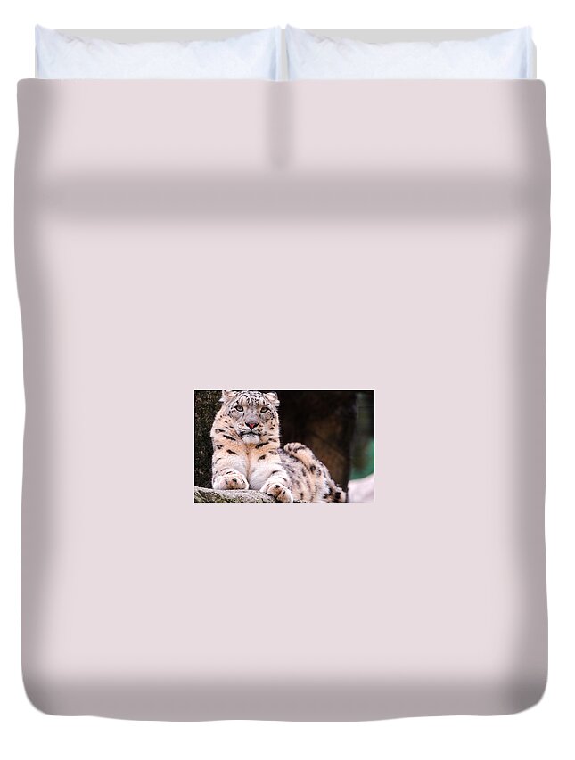 Snow Leopard Duvet Cover featuring the photograph Snow Leopard #2 by Jackie Russo