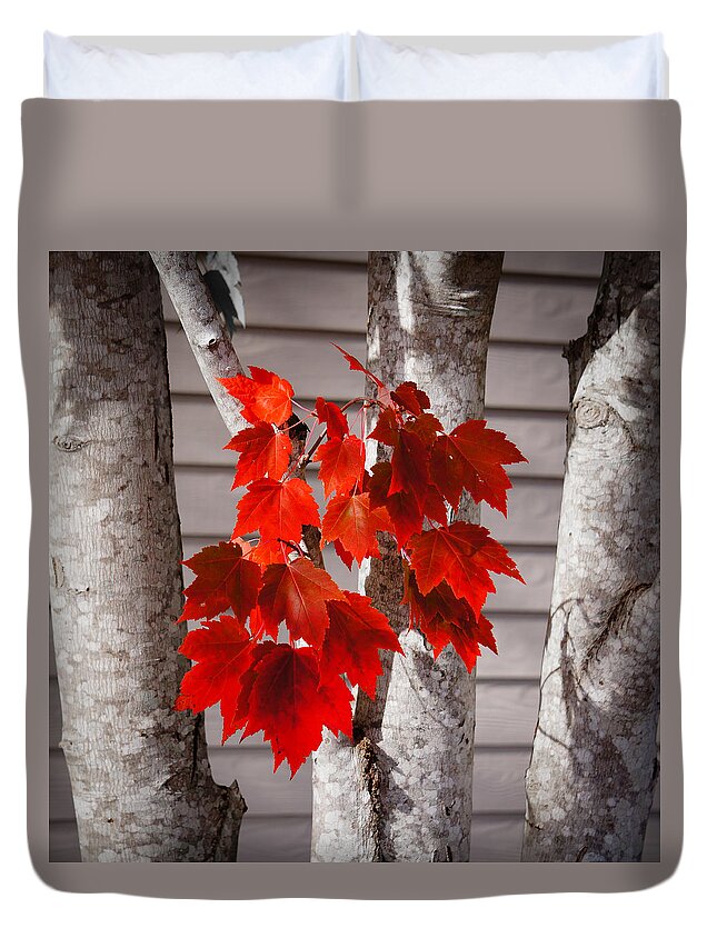 Leaves Duvet Cover featuring the photograph Some Red Leaves #2 by Ronda Broatch