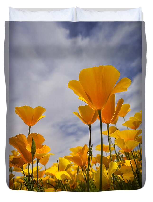 Poppies Duvet Cover featuring the photograph Springtime Poppies #3 by Saija Lehtonen