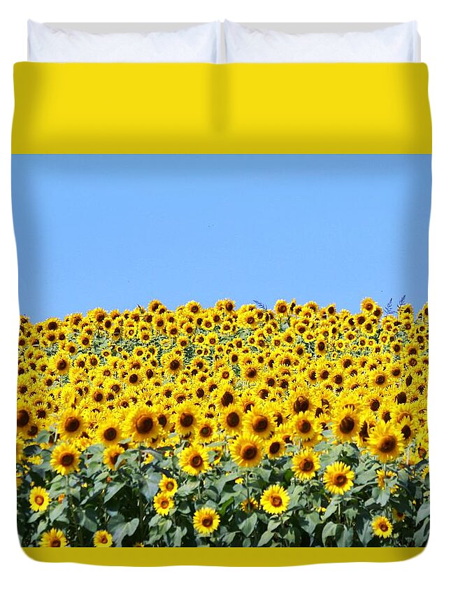 Sunflower Duvet Cover featuring the photograph Sunflower #2 by Donn Ingemie