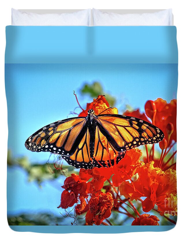 Orange Duvet Cover featuring the photograph The Resting Monarch by Robert Bales