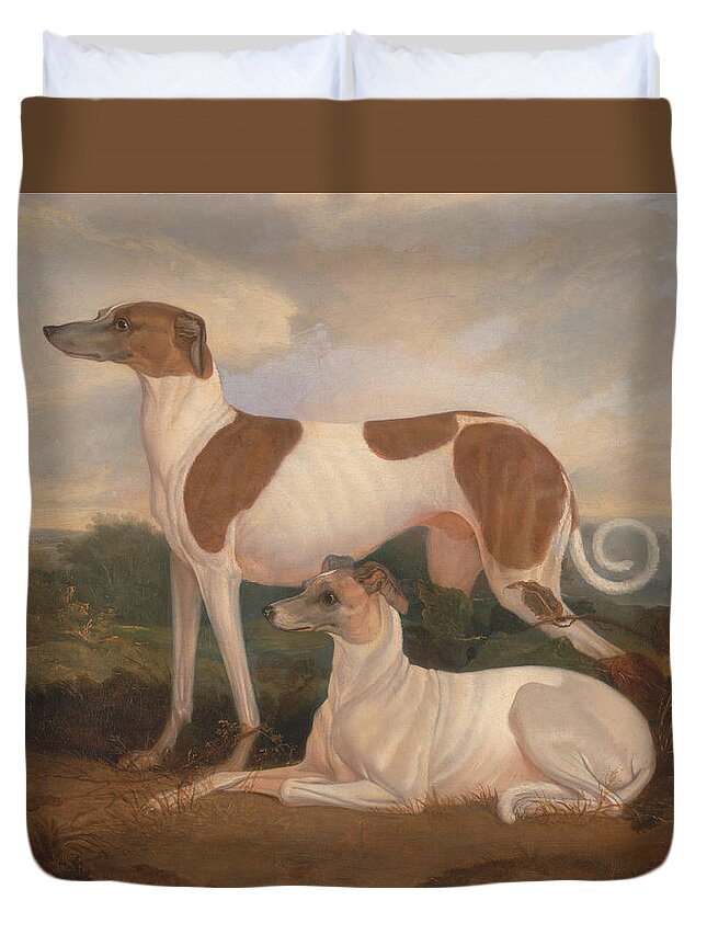 Charles Hancock Duvet Cover featuring the painting Two Greyhounds in a Landscape #2 by Celestial Images