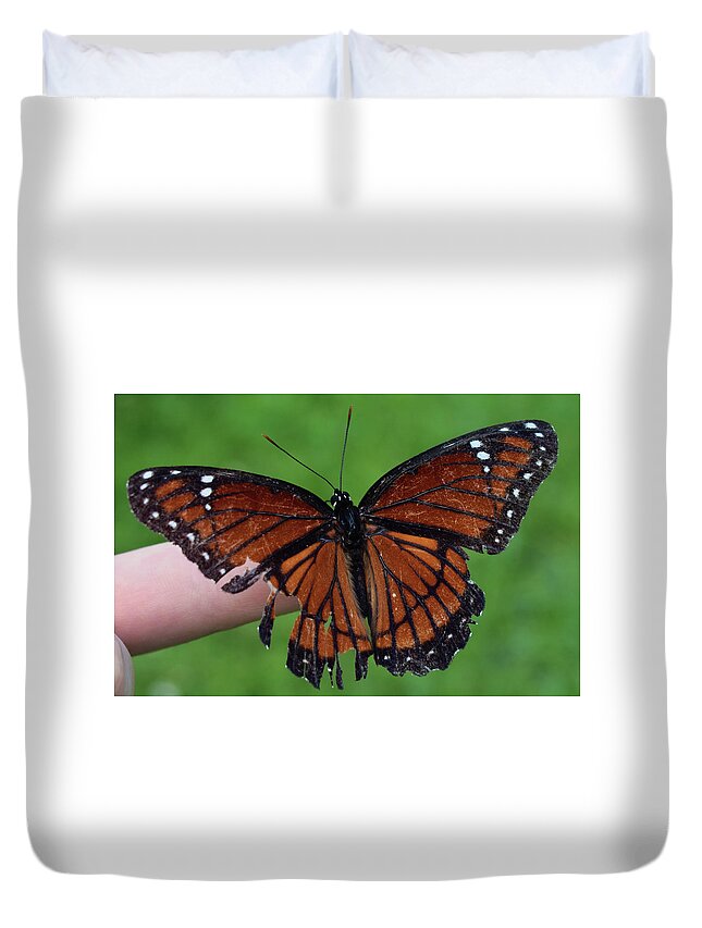 Photograph Duvet Cover featuring the photograph Viceroy Butterfly #2 by Larah McElroy