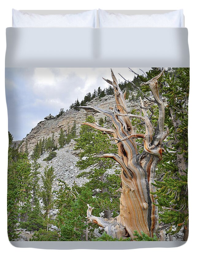 Great Basin National Park Duvet Cover featuring the photograph Wheeler Peak Basin Bristlecone #2 by Ray Mathis