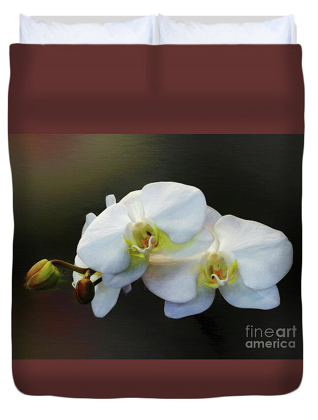 Doritaenopsis Orchid Duvet Cover featuring the photograph White Orchid - Doritaenopsis Orchid #1 by Kaye Menner