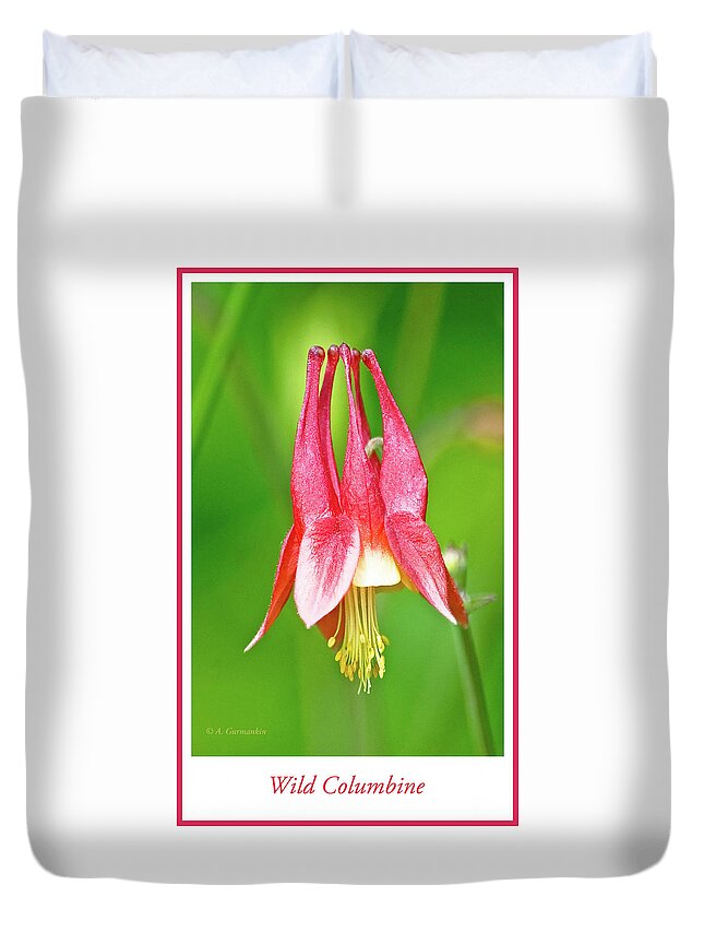 Wildflower Duvet Cover featuring the photograph Wild Columbine Flower #2 by A Macarthur Gurmankin