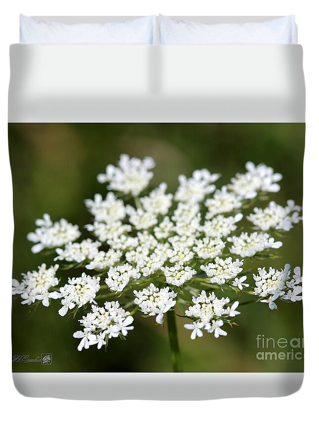 Mccombie Duvet Cover featuring the photograph Wildflower named Queen Anne's Lace #1 by J McCombie