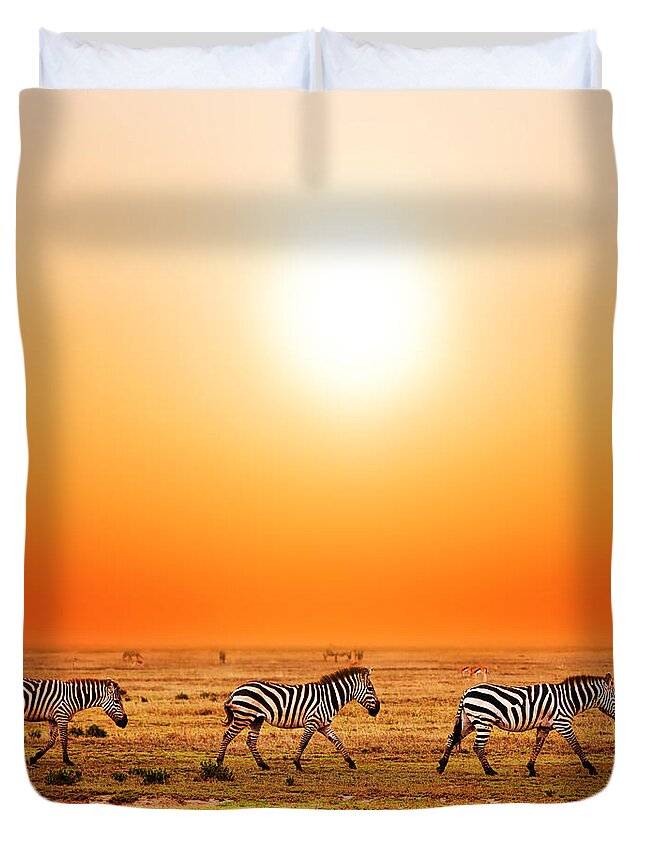 Africa Duvet Cover featuring the photograph Zebras herd on African savanna at sunset. #2 by Michal Bednarek