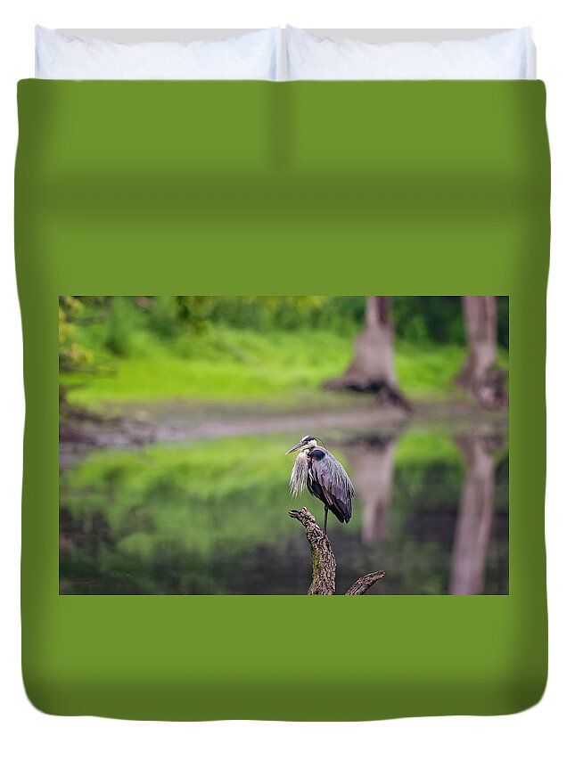 Animal Duvet Cover featuring the photograph Blue Heron #20 by Peter Lakomy