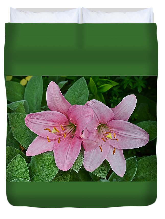 Asiatic Lilies Duvet Cover featuring the photograph 2015 Summer at the Garden Pink Lilies 1 by Janis Senungetuk
