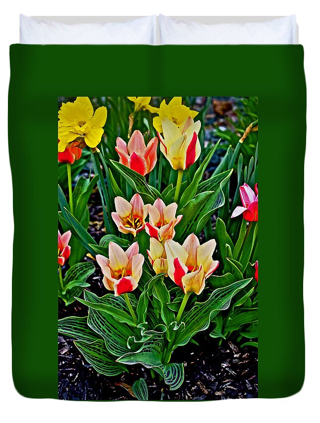 Tulips Duvet Cover featuring the photograph 2016 Acewood Tulips 6 by Janis Senungetuk