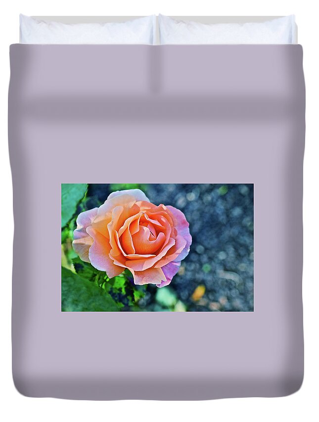 Rose Duvet Cover featuring the photograph 2016 Anniversary Rose Portrait by Janis Senungetuk