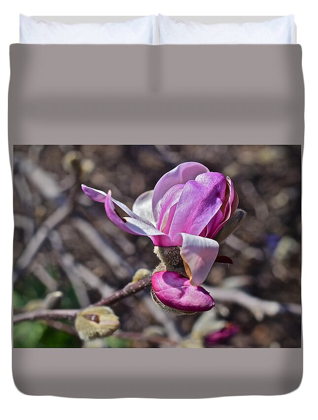 Magnolia Duvet Cover featuring the photograph 2016 Early Spring Loebner Magnolia 2 by Janis Senungetuk