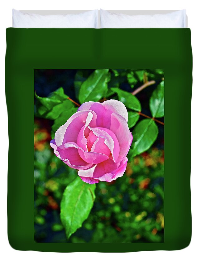 Rose Duvet Cover featuring the photograph 2016 Late Blooming Rose 3 by Janis Senungetuk