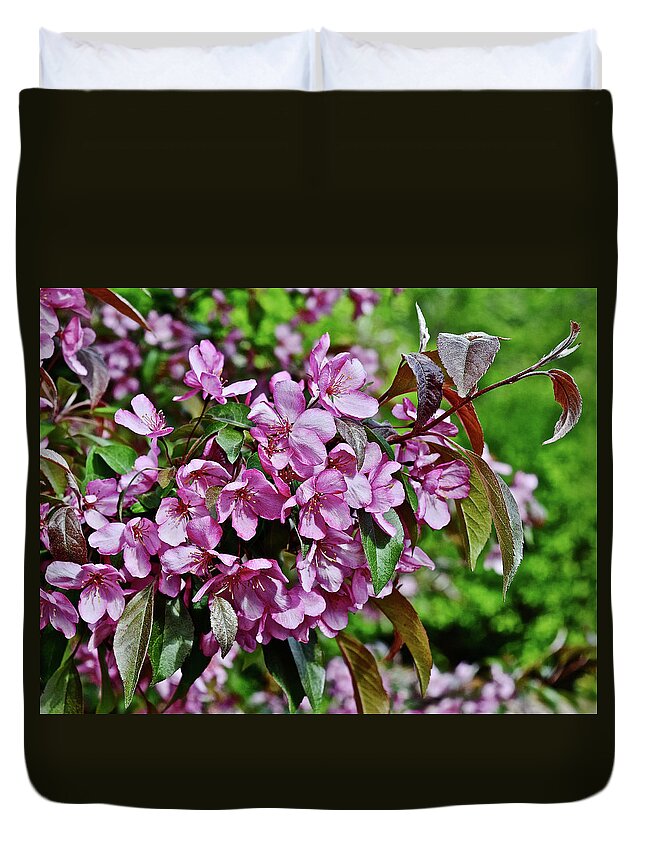 Crabapple Duvet Cover featuring the photograph 2016 Mid May Oramental Crabapple by Janis Senungetuk