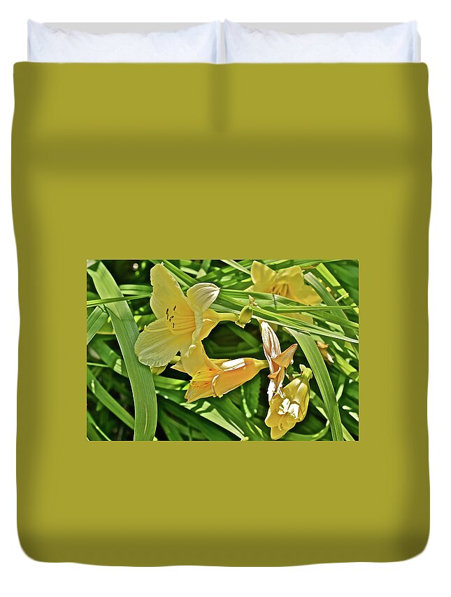 Daylily Duvet Cover featuring the photograph 2017 End of June at the Gardens Happy Returns Daylily 1 by Janis Senungetuk