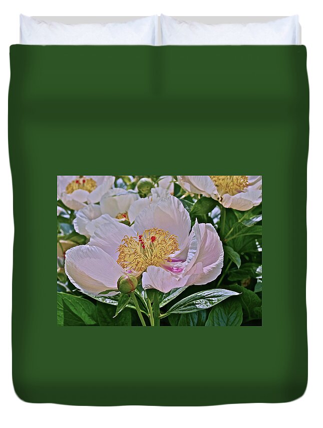 Peony Duvet Cover featuring the photograph 2017 End of May at the Gardens Lavender Whisper Peony by Janis Senungetuk
