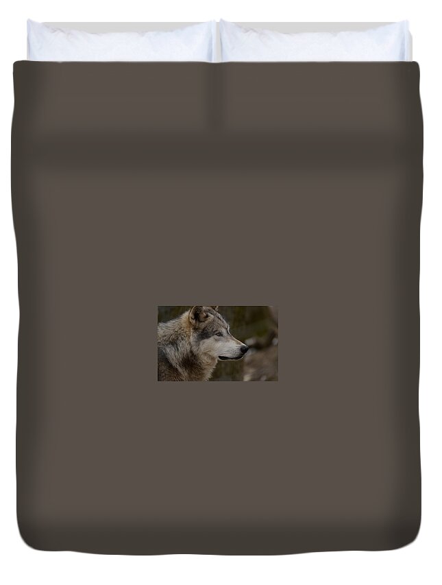 Wolf Duvet Cover featuring the digital art Wolf #22 by Super Lovely