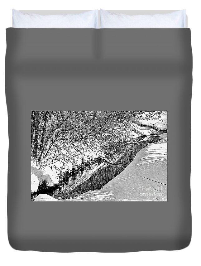  Duvet Cover featuring the photograph 2236 1sh by Burney Lieberman