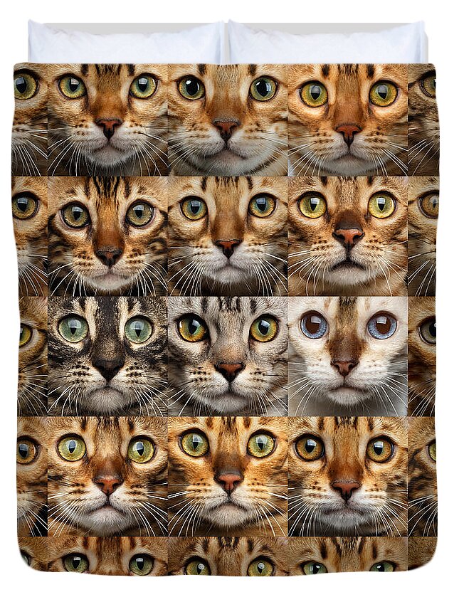 25 Duvet Cover featuring the photograph 25 Different Bengal Cat faces by Sergey Taran