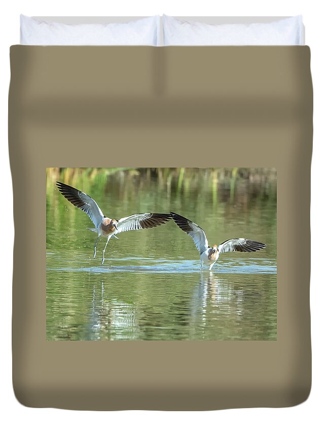 American Duvet Cover featuring the photograph American Avocets #4 by Tam Ryan