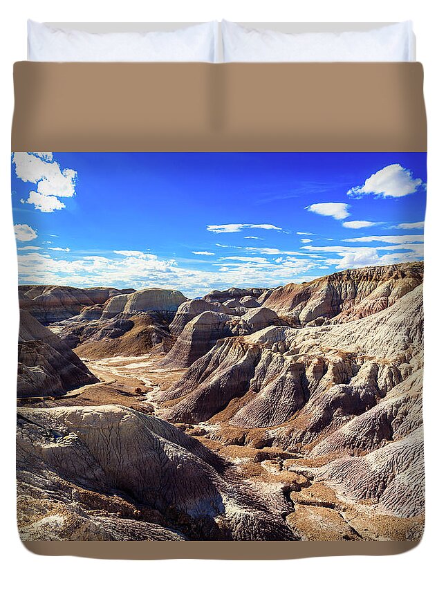 Arizona Duvet Cover featuring the photograph Arizona Petrified Forest #3 by Raul Rodriguez